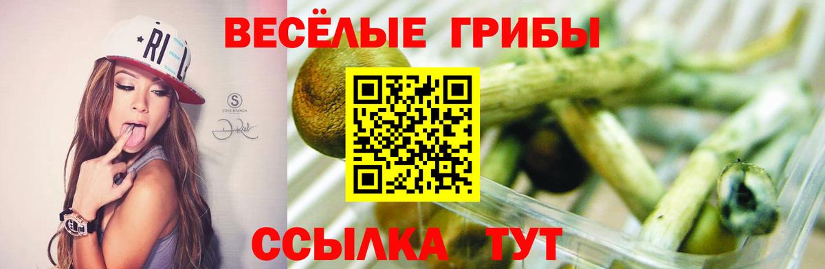 Псилоцибиновые грибы Psilocybe  Псилоцибиновые грибы мухоморы  Мытищи  Вход с VPN 
